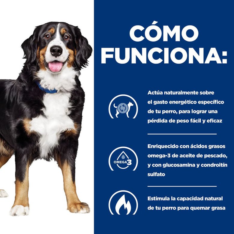 Hill's Prescription Diet j/d Metabolic + Mobility pienso para perros, , large image number null